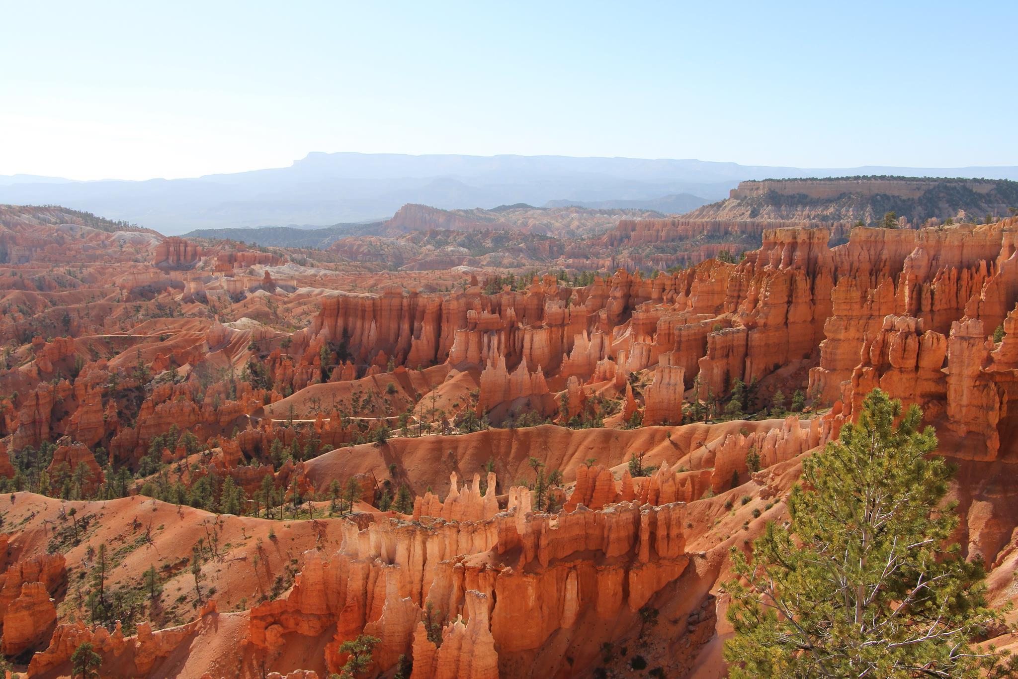 Geology Bryce Canyon