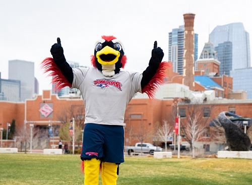 MSU Denver mascot, Rowdy, giving thumbs up in front of the Tivoli.